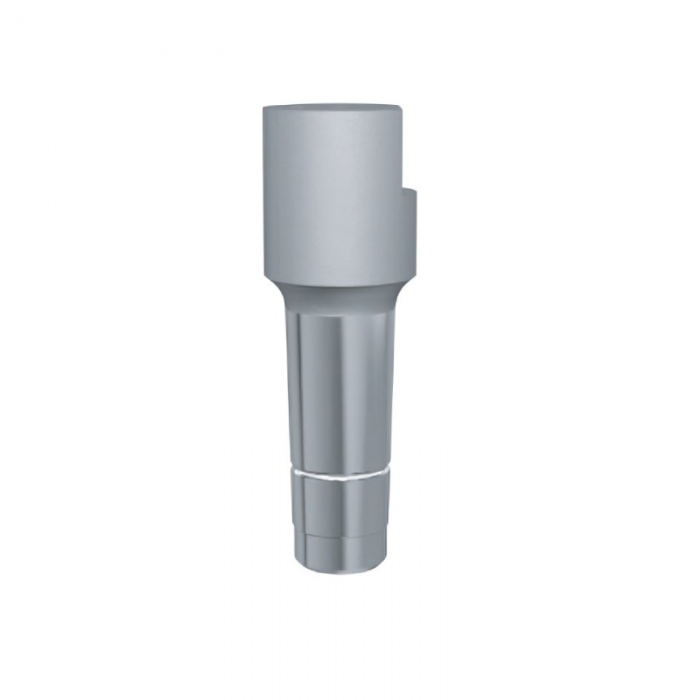 EasyLearn Scannable Temporary Abutment