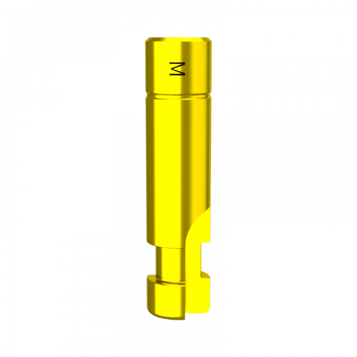 Mini-DMR-Replika